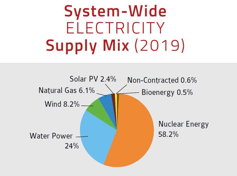 System-Wide Electricity Supply Mix 2019