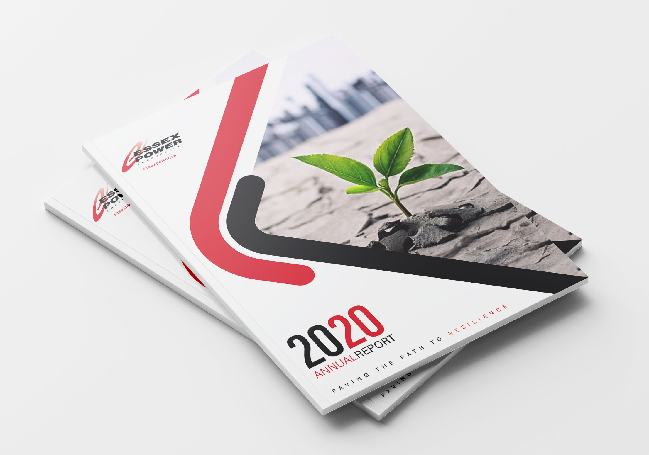 2020 Annual Report Mockup